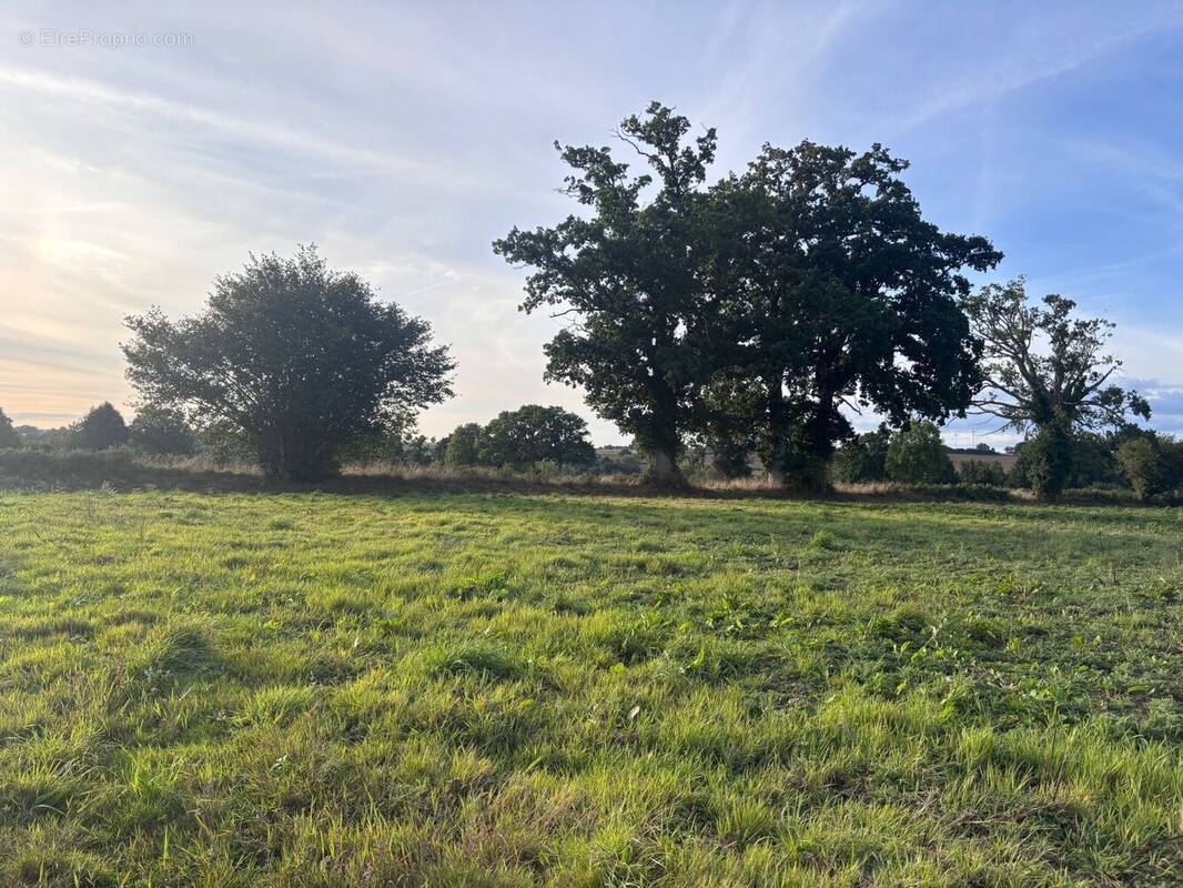 Terrain à FRENES