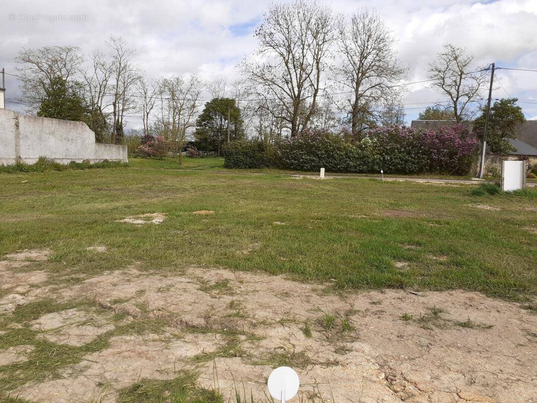 Terrain à SAINT-SAUVEUR-MARVILLE