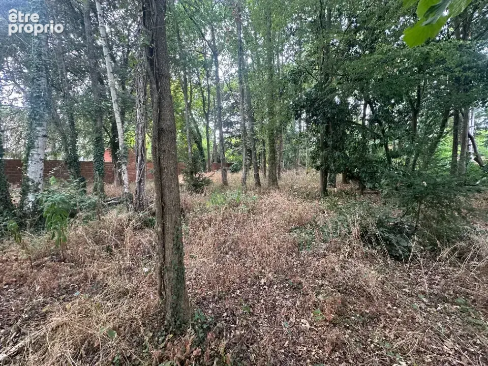 Terrain à CONGIS-SUR-THEROUANNE