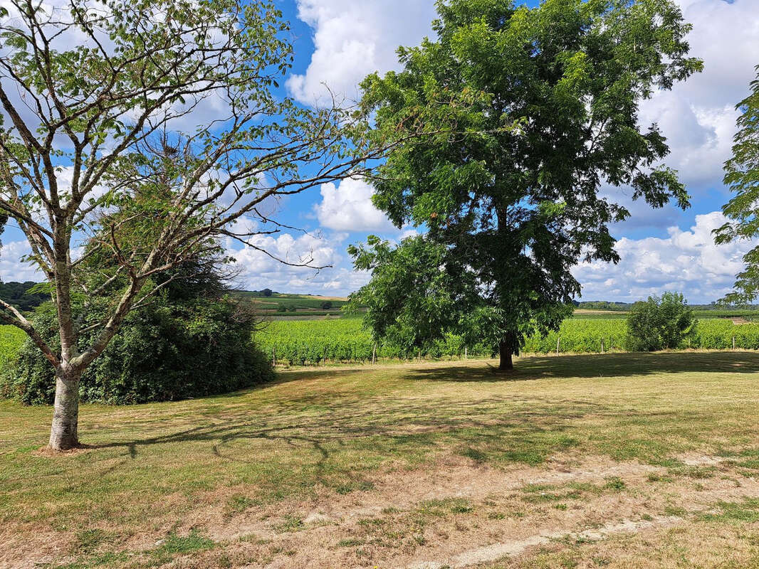 Propriété de caractère sur 2.5 hectares - photo 4