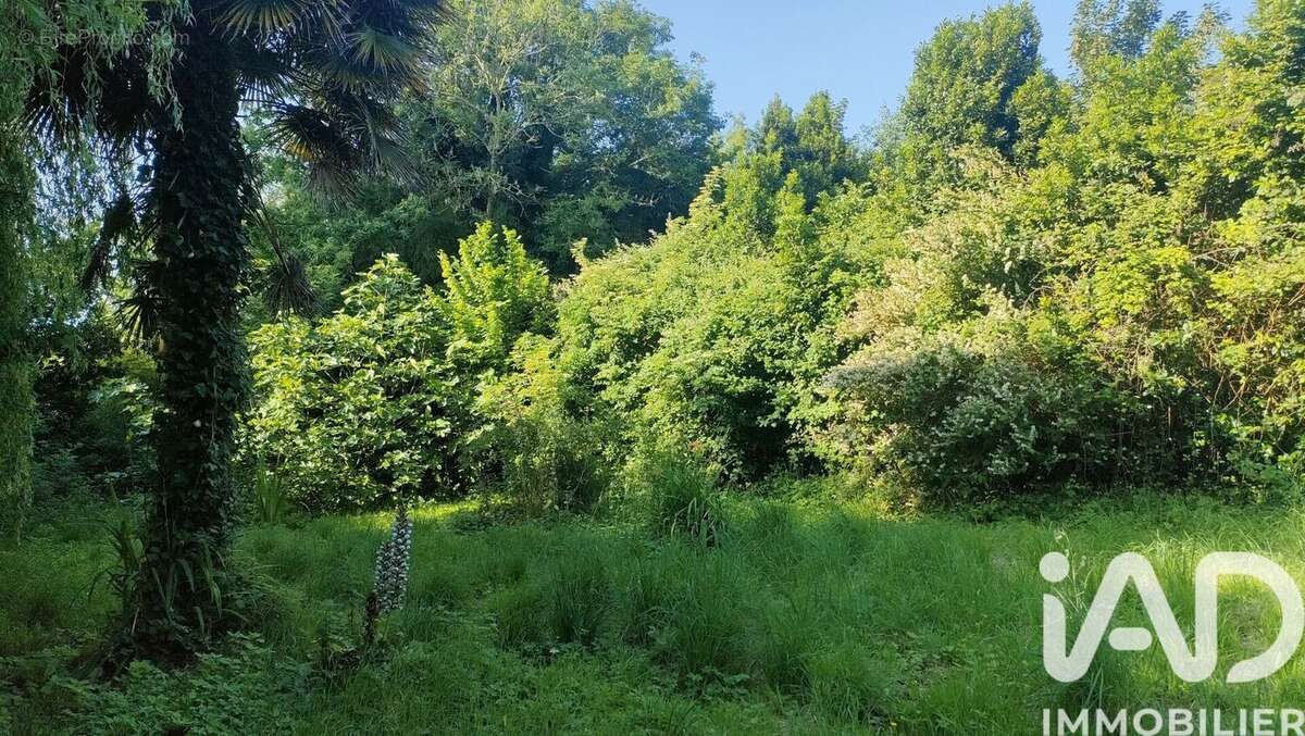 Photo 2 - Terrain à SAINT-JEAN-LE-THOMAS