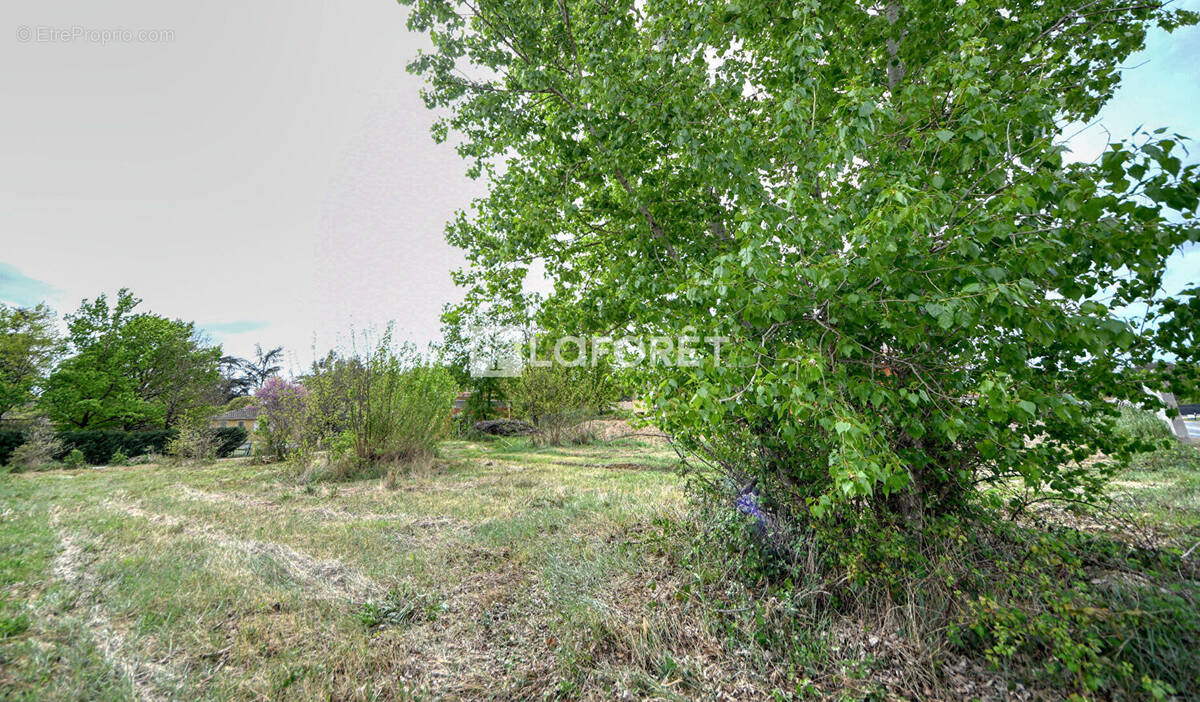 Terrain à SAINT-JEAN-DE-RIVES