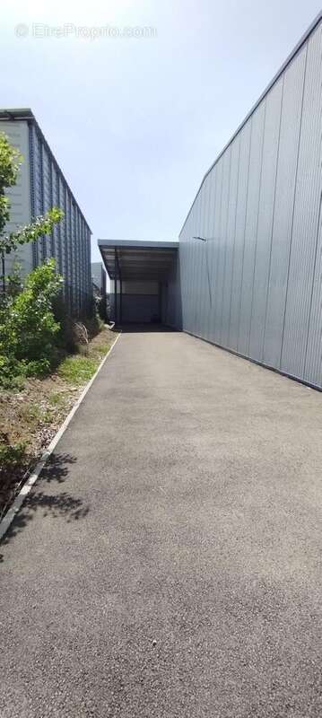 Commerce 810 m² à Saint-Donat-Sur-L'herbasse  - photo 5