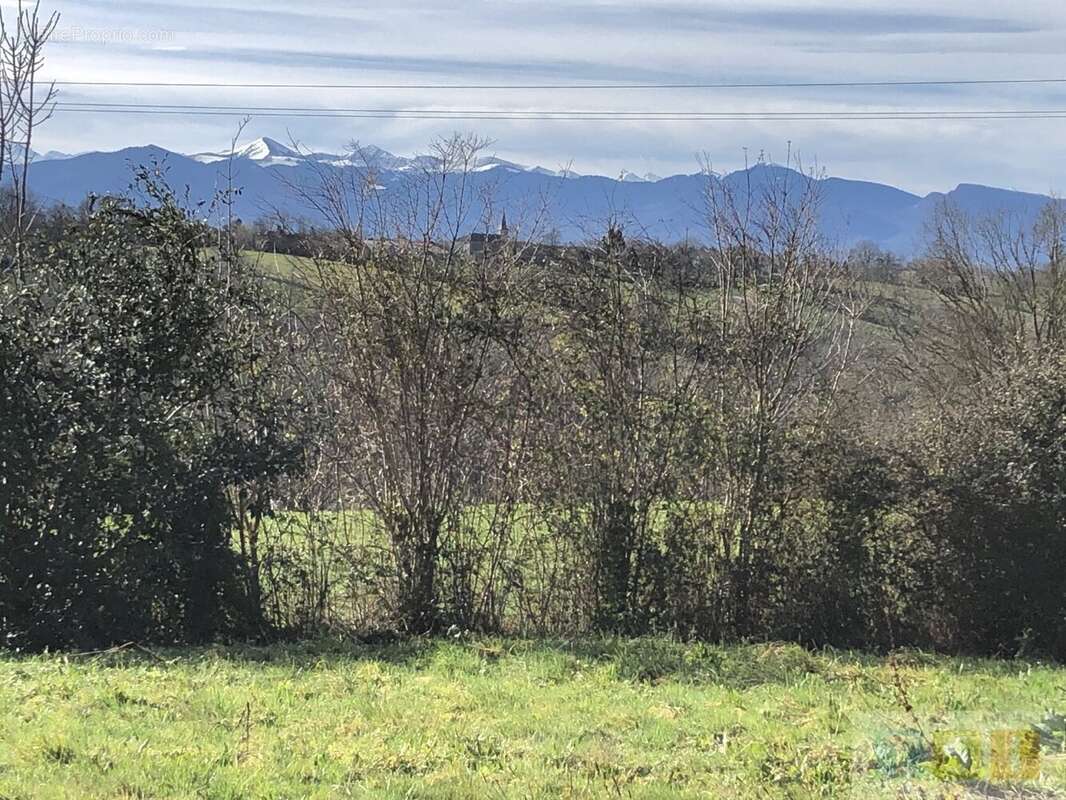 Maison à MONTREJEAU