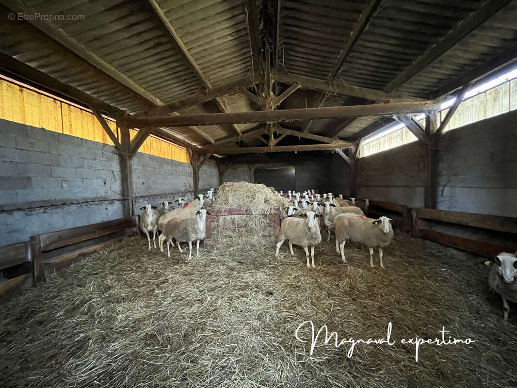 Ferme ovine de 39 HA avec fermages complémentaires possibles dans le LOT 46 OCCITANIE - photo 6