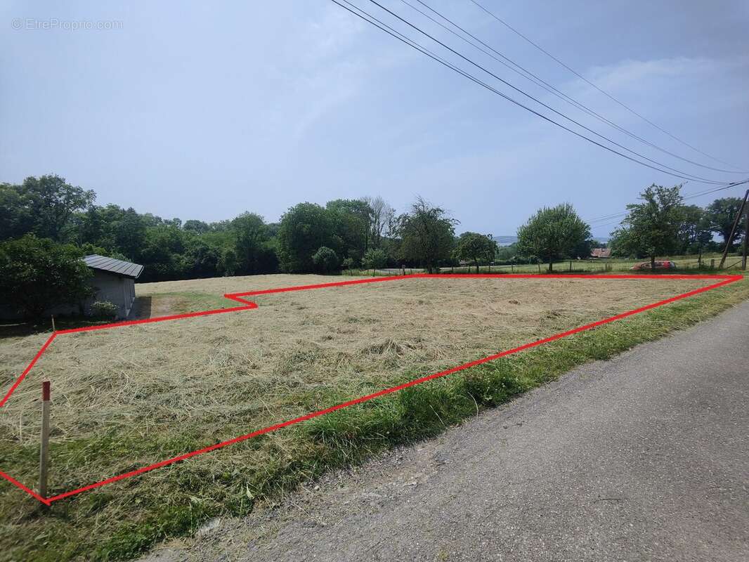 Terrain 800 m² à Margencel  - photo 2