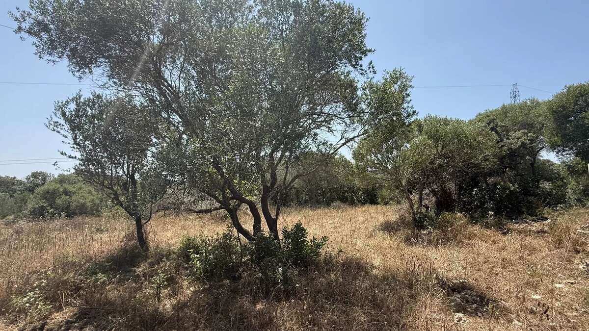 Terrain à BONIFACIO