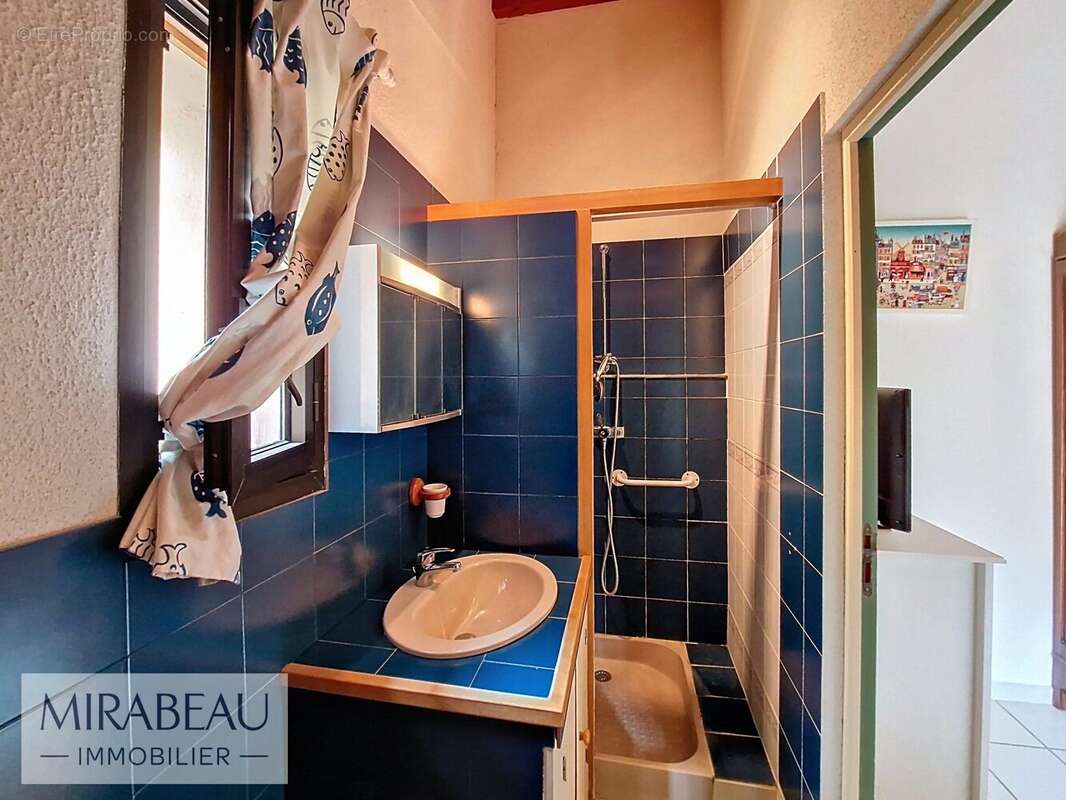 Maison 252 m² à Pierrevert  - photo 4