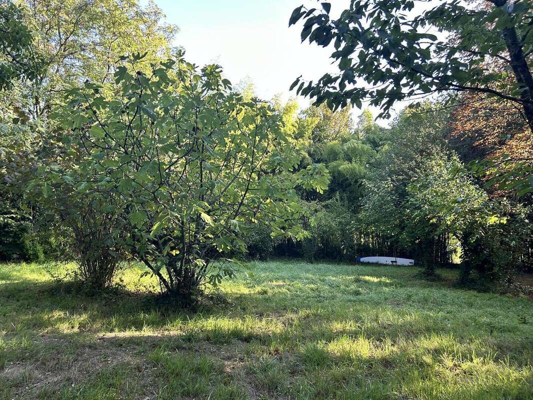 IMG2310 - Terrain à NIORT