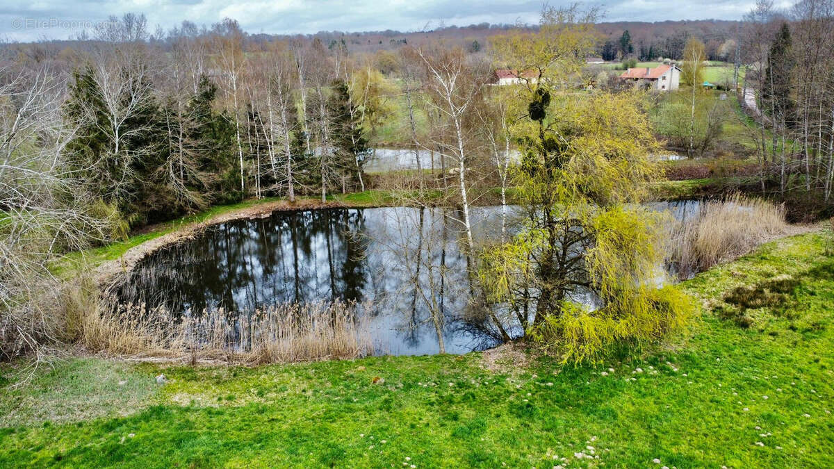 Terrain à RIGNOVELLE