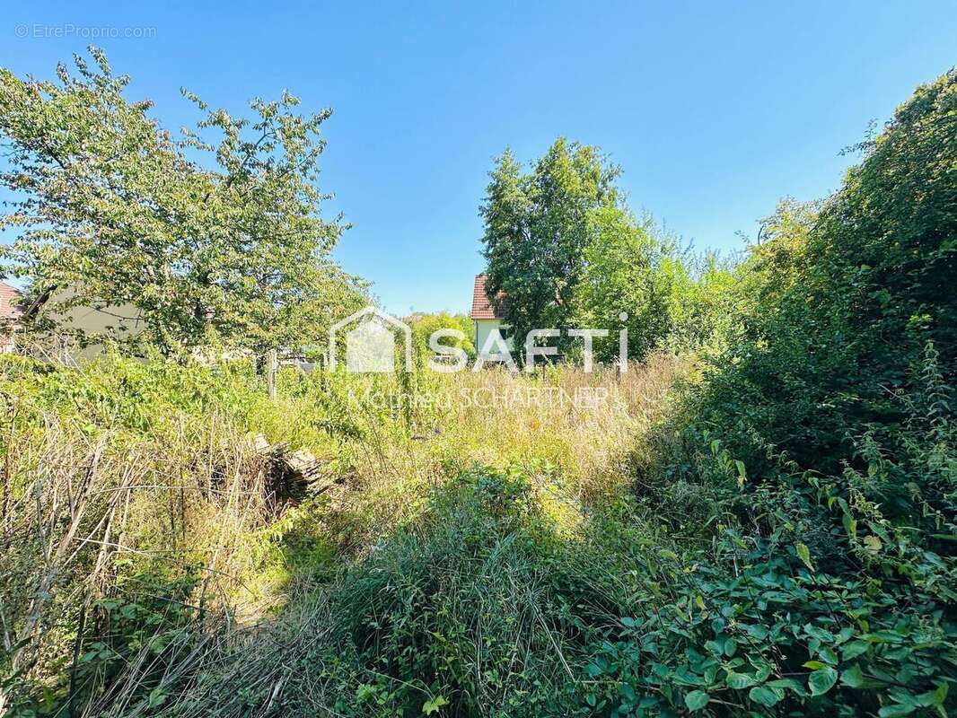 Photo 4 - Maison à HIRTZBACH