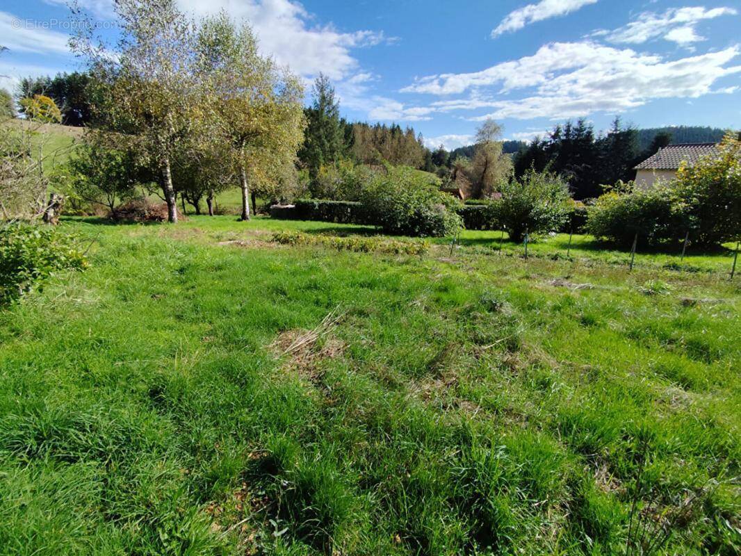 Terrain à LA SEAUVE-SUR-SEMENE