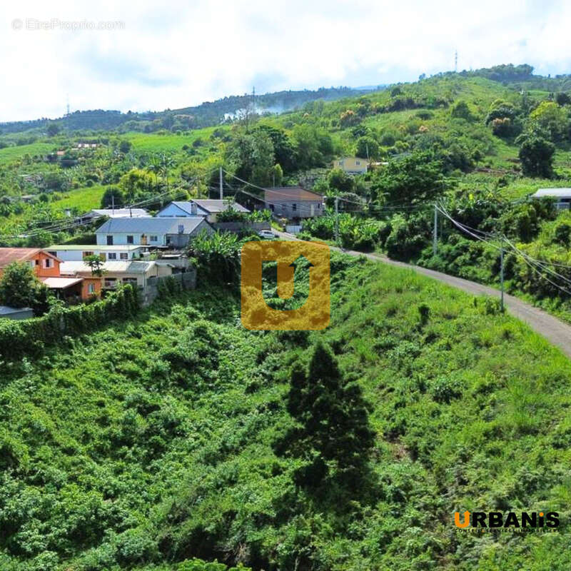 Terrain à SAINT-PAUL