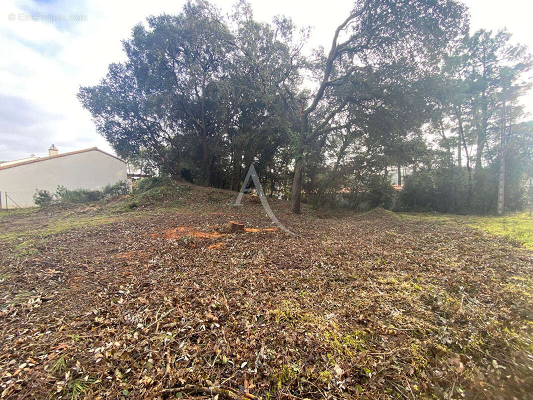 Terrain à LA TRANCHE-SUR-MER