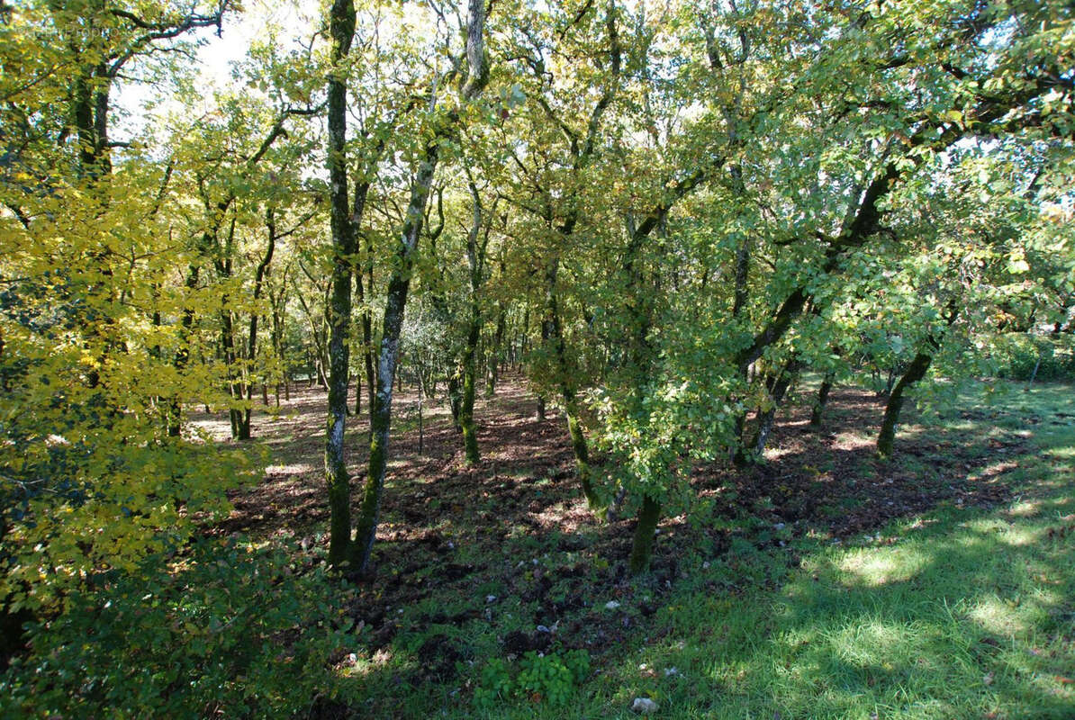 Terrain à SOUILLAC