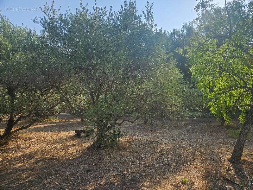 Terrain 450 m² à Les Pennes-Mirabeau  - photo 2