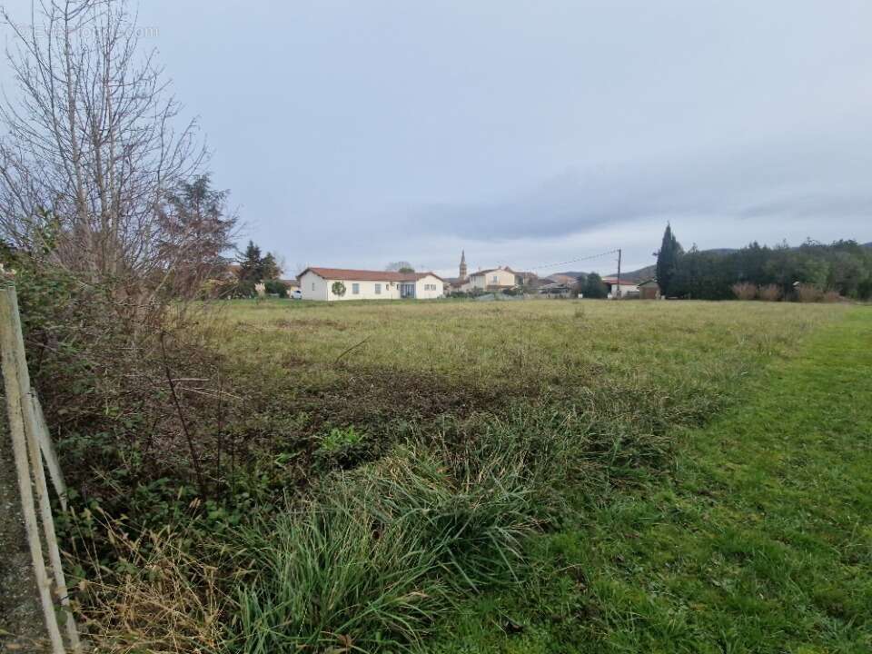 Terrain 1410 m² à Martres-Tolosane  - photo 2