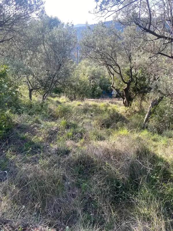 Terrain 1 680 m² à vendre à Claviers (83830) - photo 3
