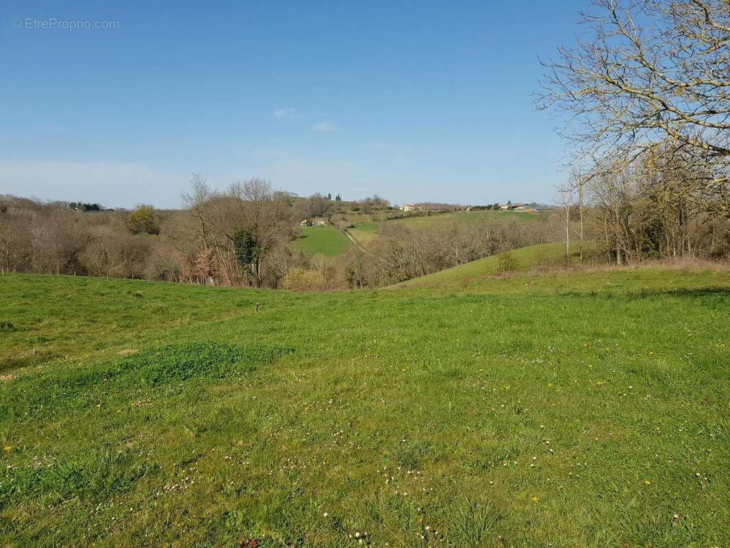 FAj - Maison à SARRAGUZAN