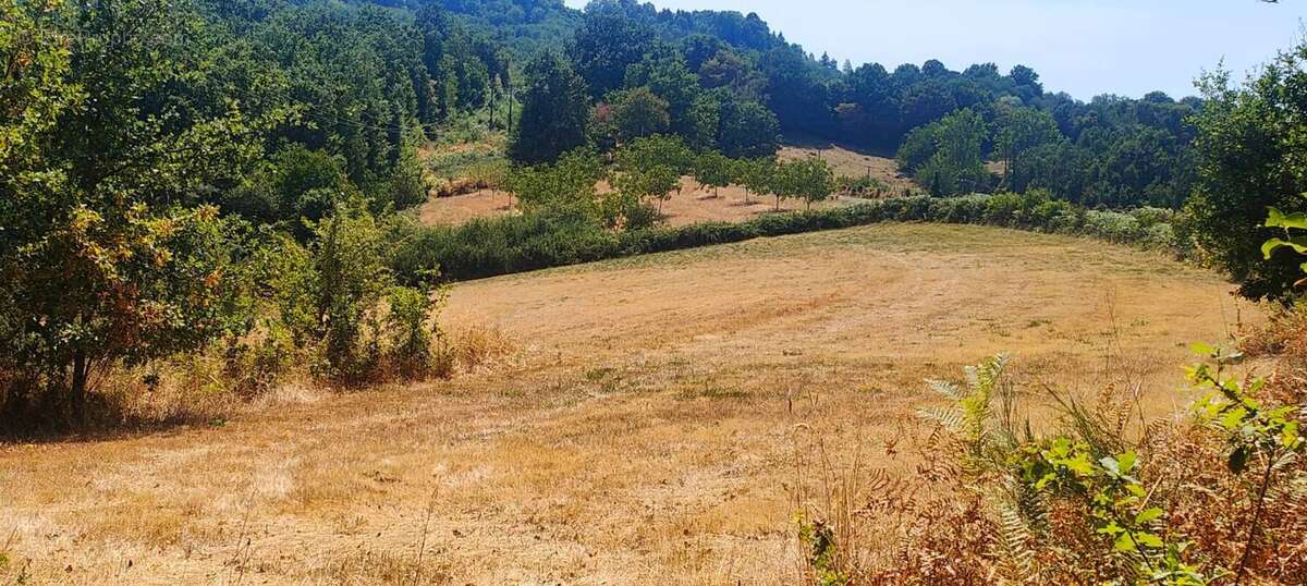 Proche Dordogne : corps de ferme sur 5,5 ha (1,6 ha de prairie)- Puits - Sources - Four à Pain - photo 17