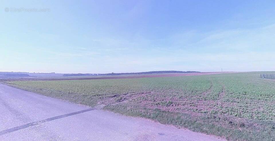 Terrain à HAUTE-AVESNES