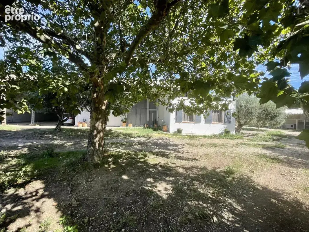 Propriété sur 2,75 hectares à Saint Martin de Crau - photo 11