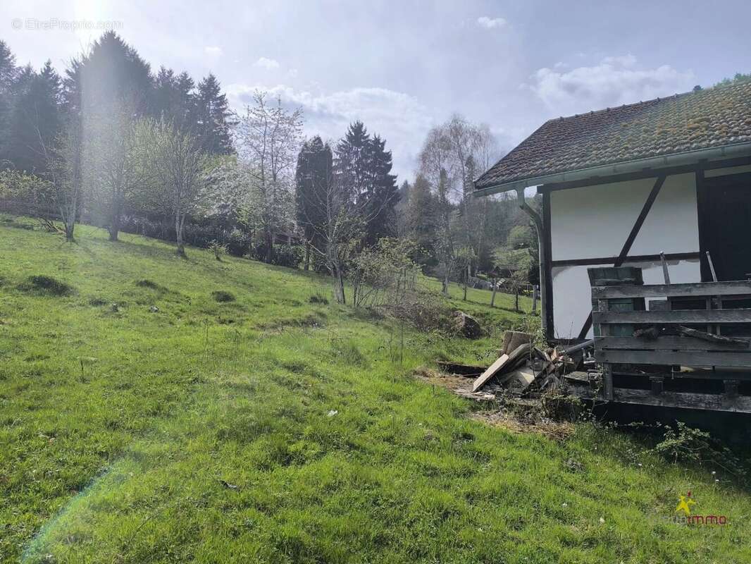 Terrain à LE HOHWALD
