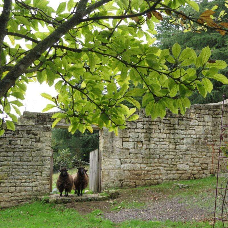 Maison à FONTENAY-LE-COMTE
