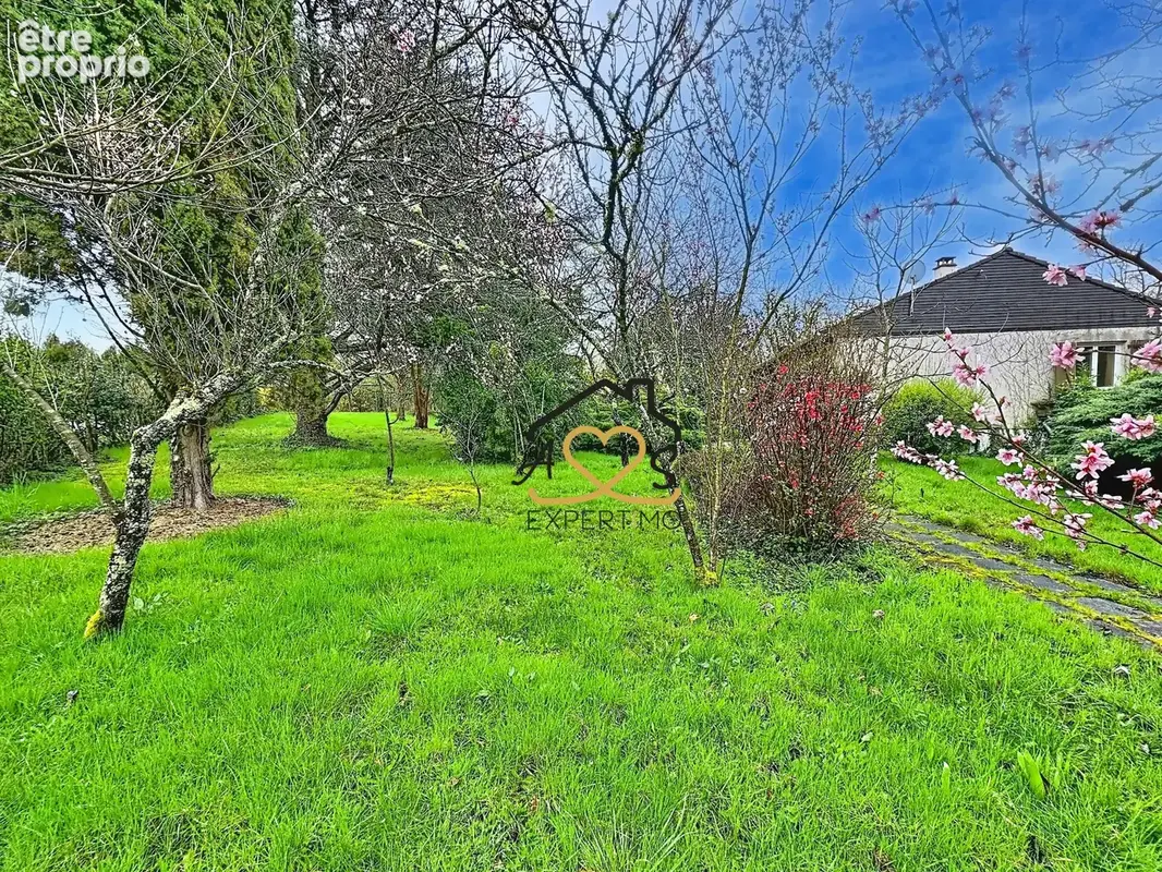 Maison avec grand terrain arboré et étang   7 025 m2   Puy-Guillaume (lieu-dit Le Pas) - photo 2