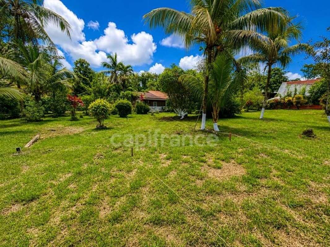 Maison à vendre 8 pièces MONTSINERY TONNEGRANDE (973) - photo 15