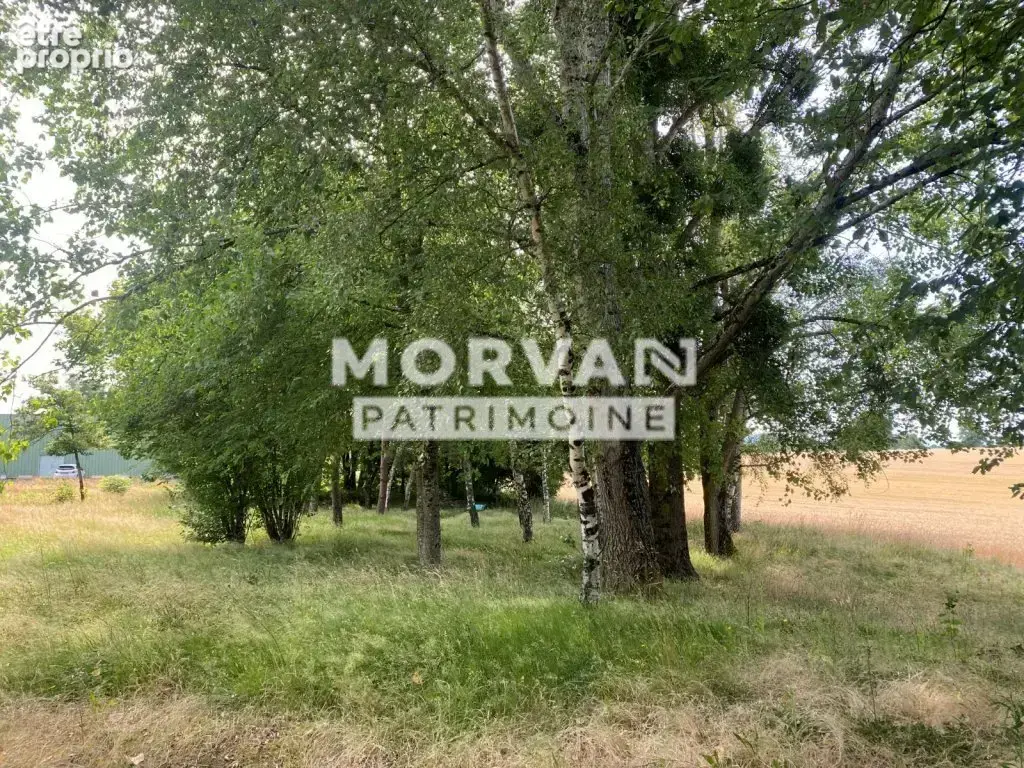 Maison du bazois - batiment sur 2 niveaux 294 m2 - parking et terrain 4017 m2 - photo 22