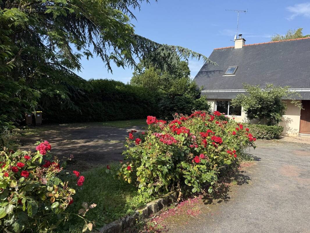 Maison à GUEMENE-PENFAO