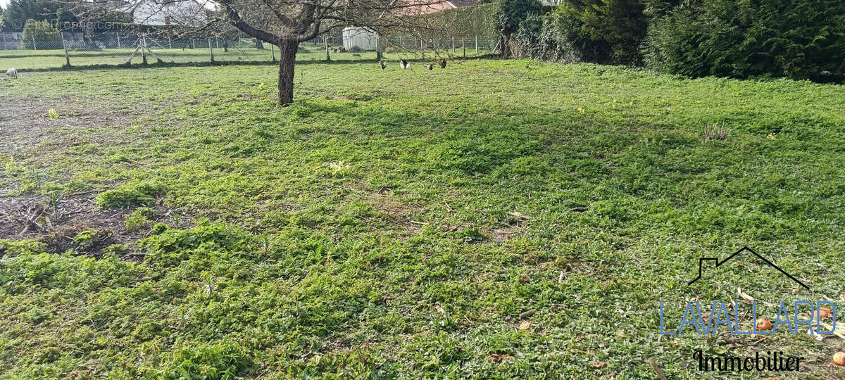Terrain à FLIXECOURT