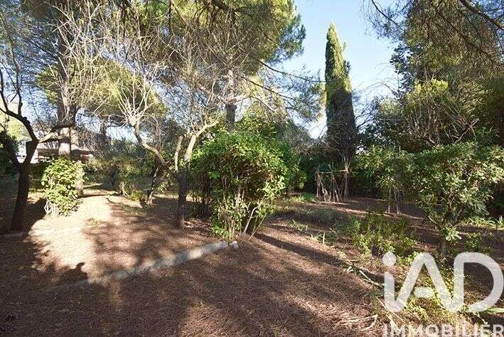 Photo 7 - Maison à MONTPELLIER