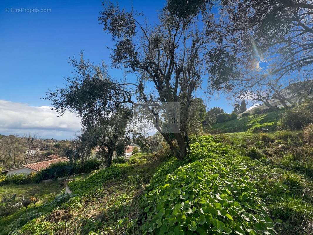 Maison à TOURRETTES-SUR-LOUP