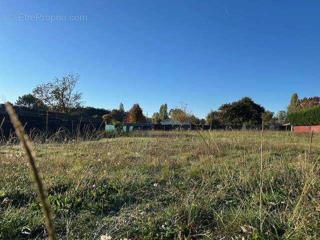 Terrain à SAINT-ANDRE-DE-CUBZAC