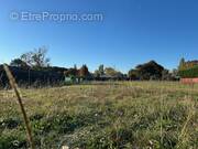 Terrain à SAINT-ANDRE-DE-CUBZAC