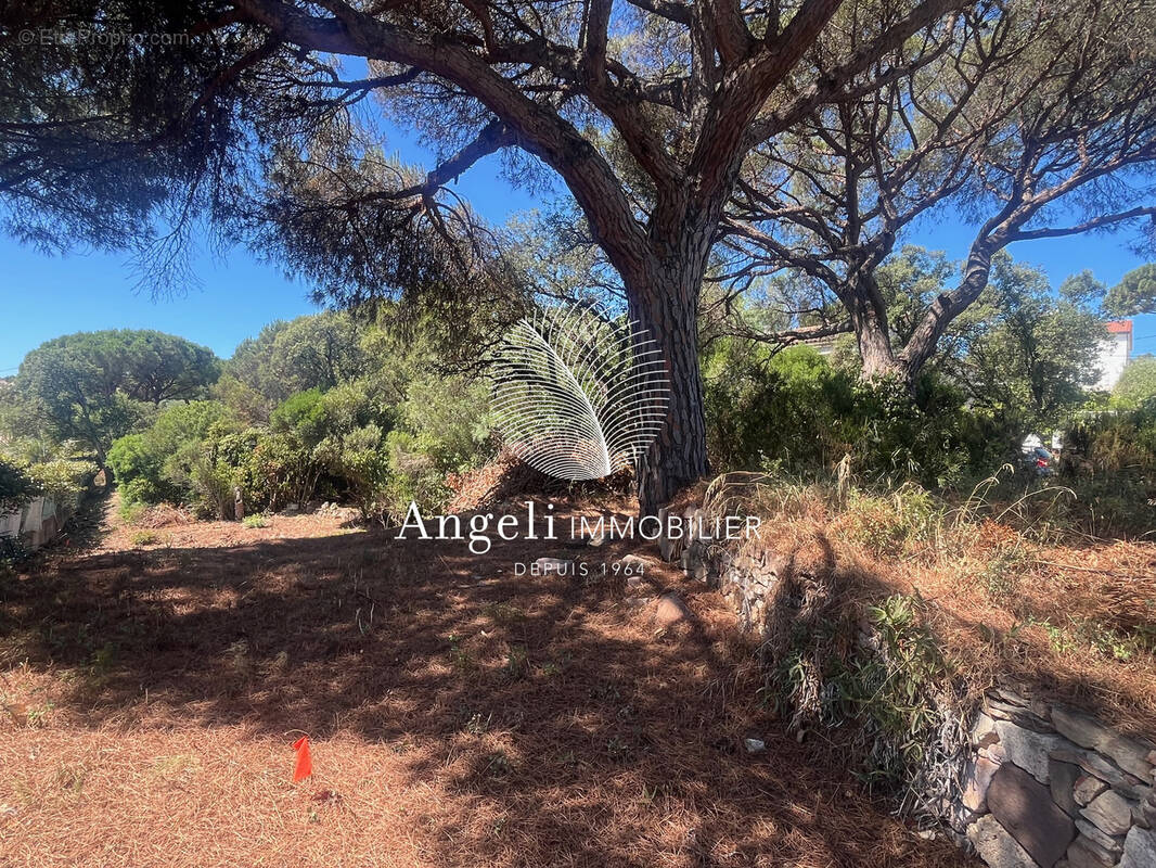 Terrain à FREJUS