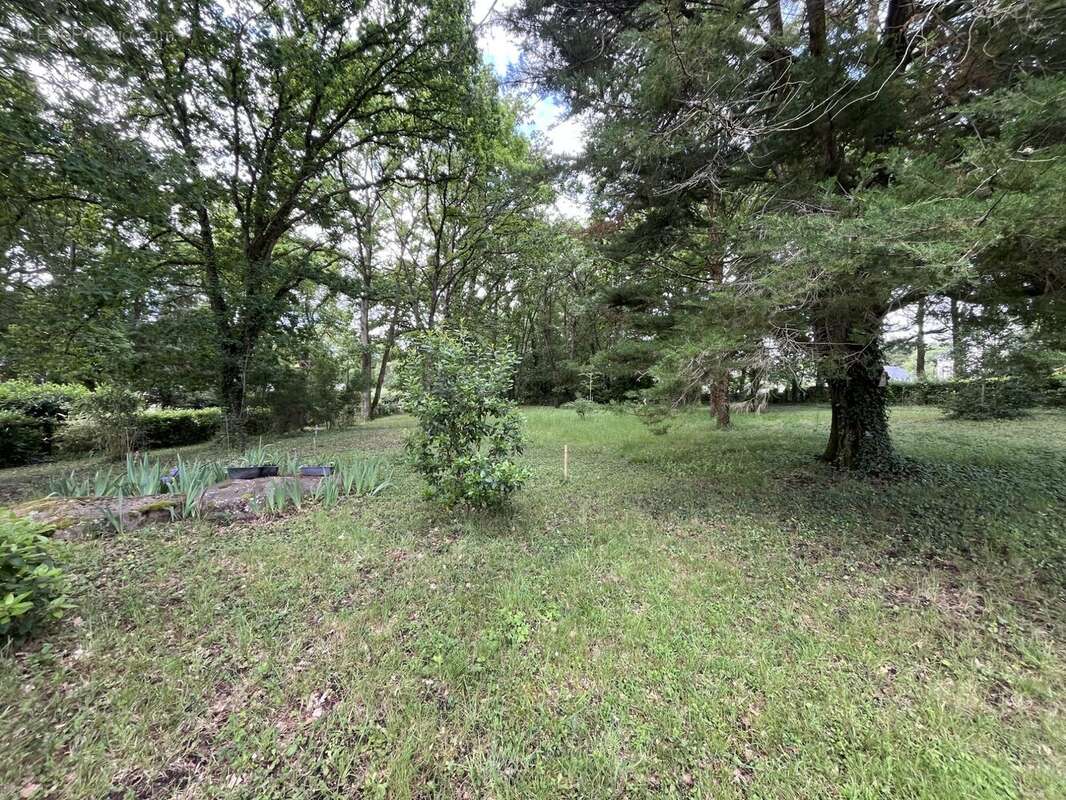 BOIS - Maison à LES ROSIERS-SUR-LOIRE
