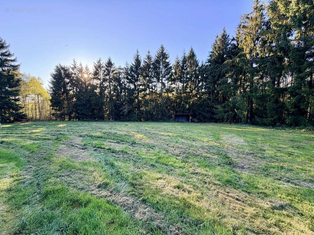 Maison neo-norman de 3ch - 7ha de terrain dont foret - sous-sol - photo 28