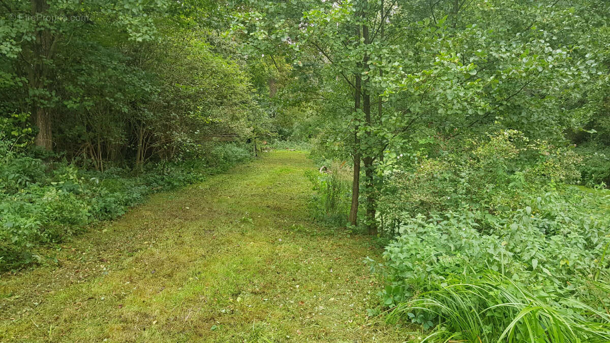 Terrain à VILLE-SUR-ANCRE