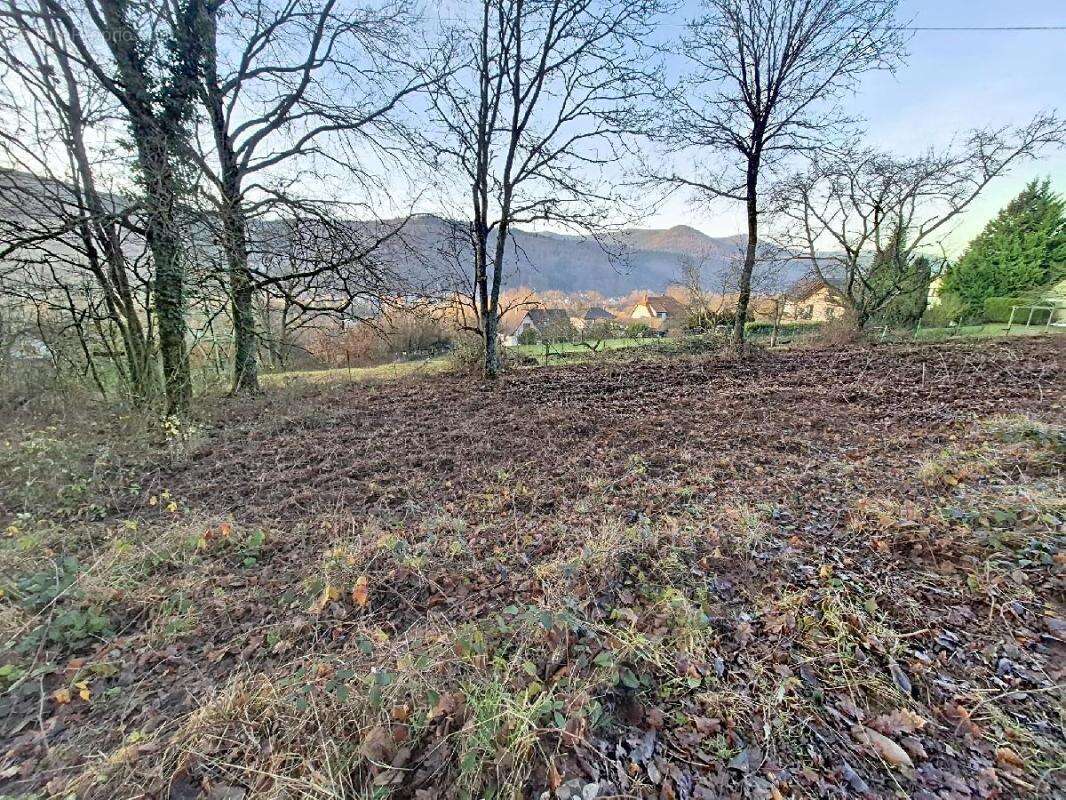 Terrain 1904 m² à Russ  - photo 2