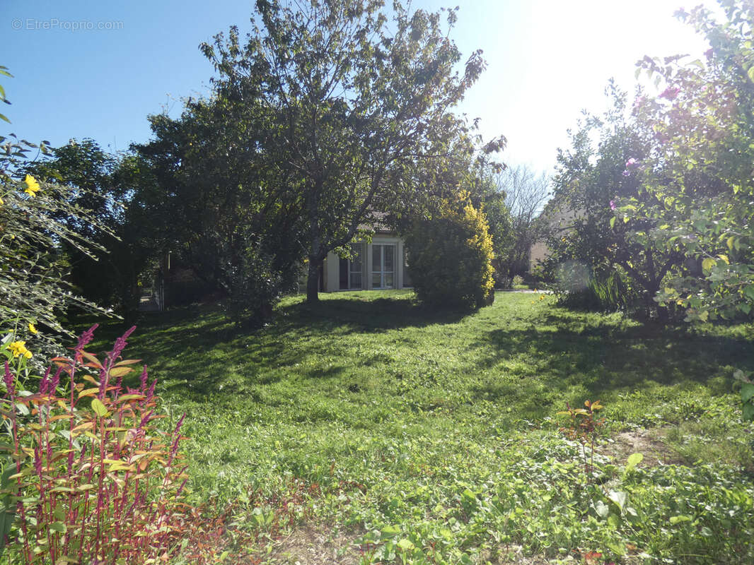 Maison à ARCES-DILO