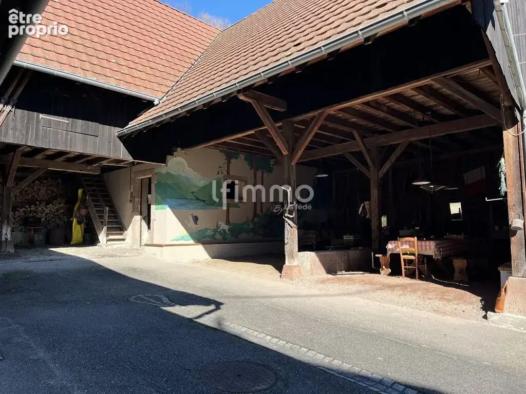 Propriété rare à Munster – Plus de 380 m² sur 1,6 hectare - photo 15