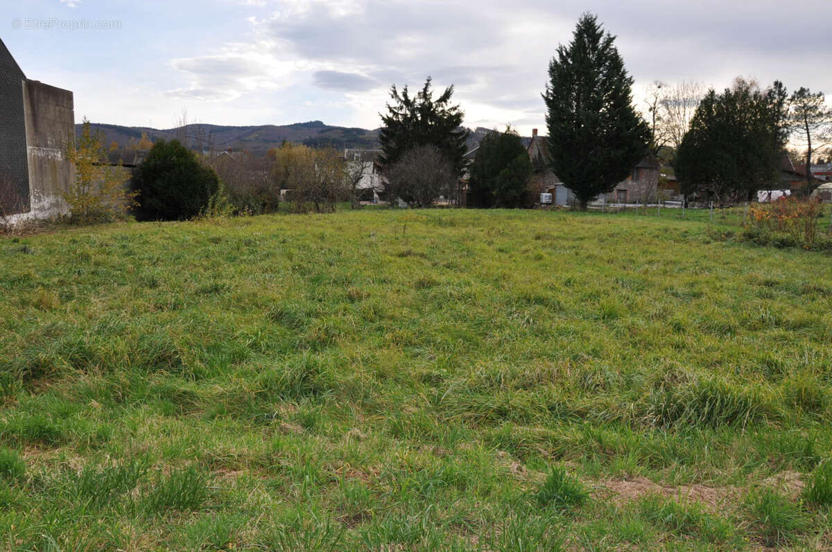 Terrain à LE MAYET-DE-MONTAGNE