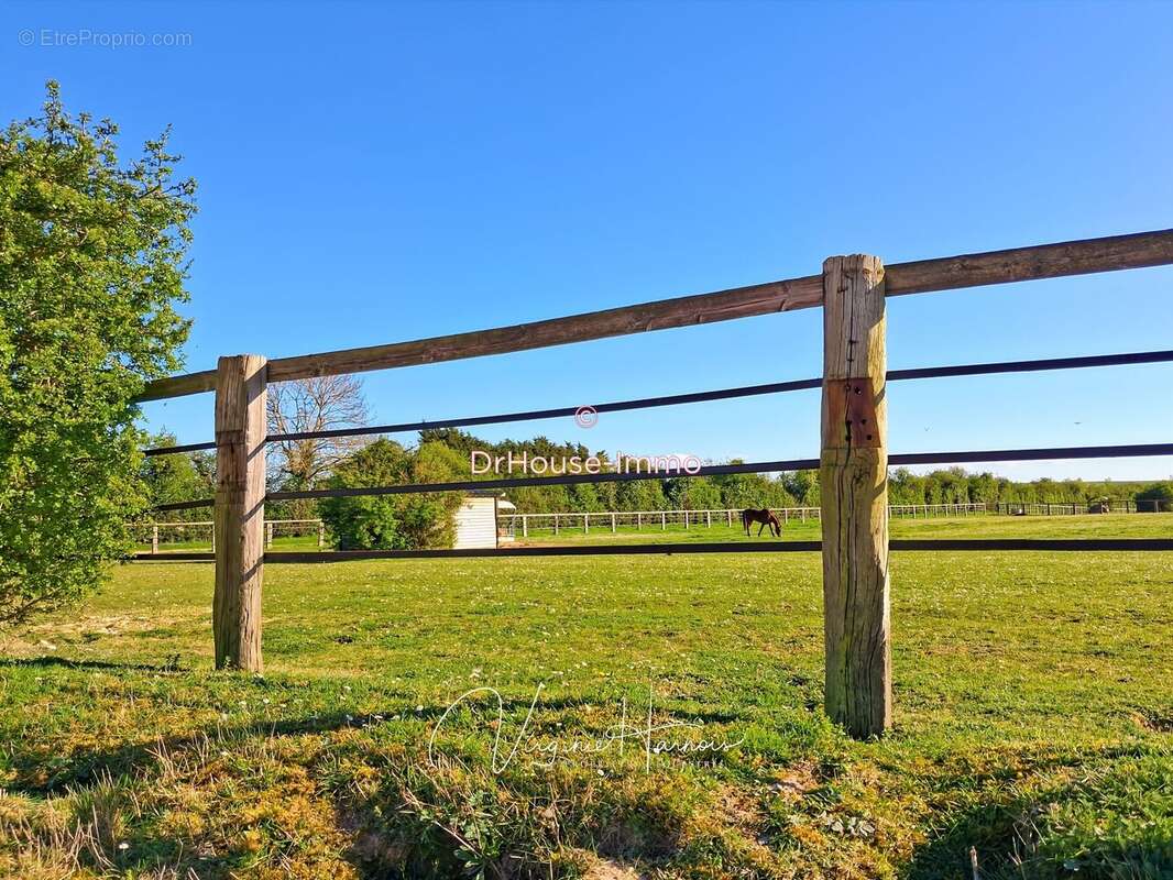 Maison 168 m² à Falaise  - photo 44