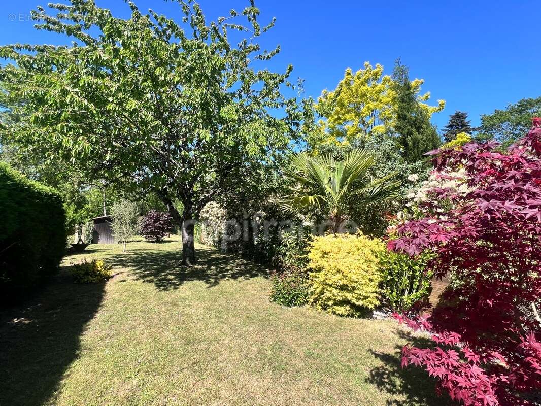 Arnage – cœur de ville – maison rénovée, jardin, dépendance & double garage 43 m² - photo 6