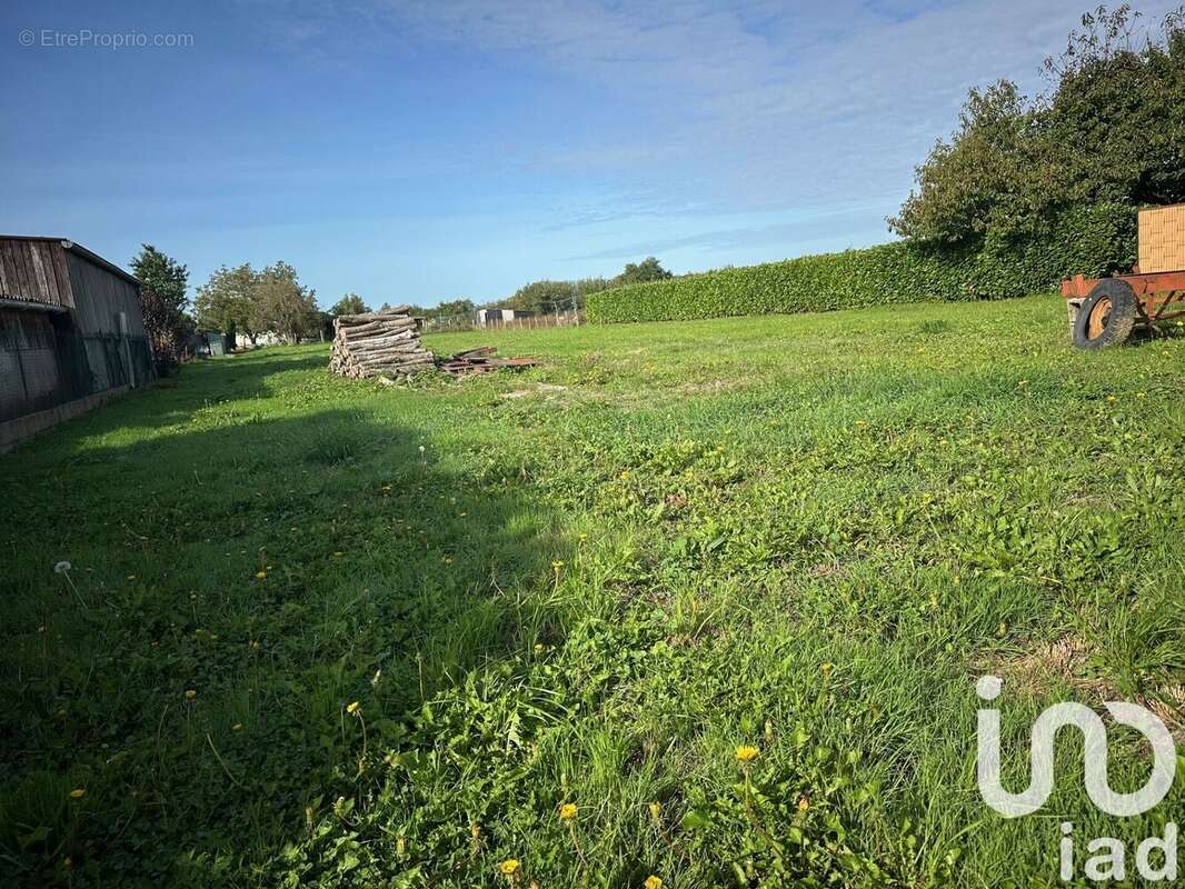 Photo 3 - Terrain à ALLERIOT