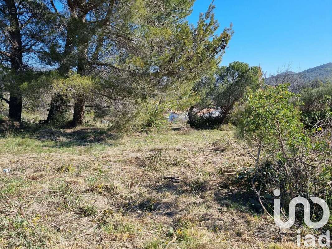 Terrain 1318 m² à Villeneuve-Les-Corbieres  - photo 3