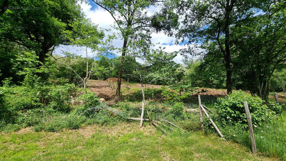 20250506_144406 - Maison à SAINT-PARDOUX-LA-RIVIERE